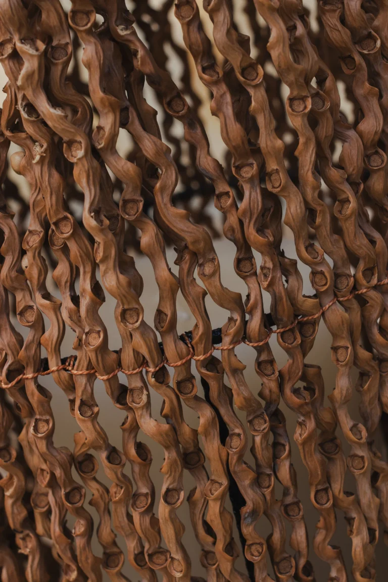 Detalle de fibras naturales rizadas para tejido artesanal en iraca – Areito Gallery