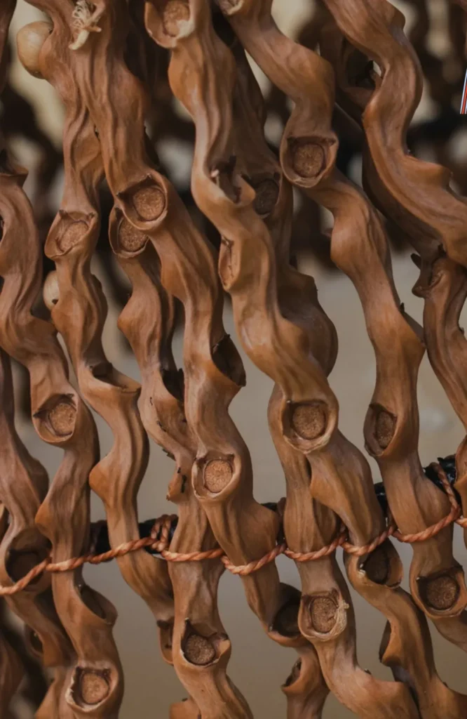 Seje Palm, a handwoven Colombian natural fiber from Córdoba